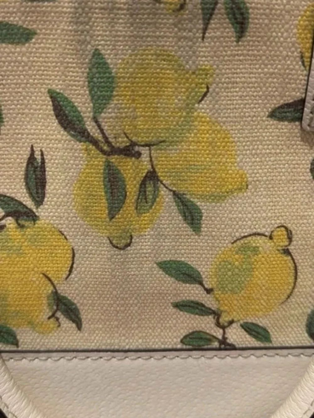 Lemon Print Kate Spade purse and matching wallet retired print